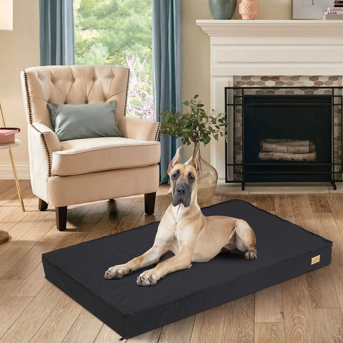 Dog Beds For Large Orthopedic Medium Waterproof