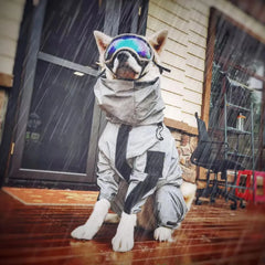 Outdoor Large Dog Raincoat Sunscreen Reflective Jacket