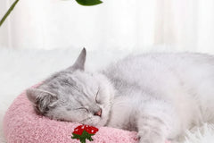 1Pc Little Pillow For Cats, Ultra Soft