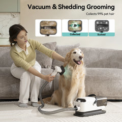 Amicura P1 Vacuum Cleaner Hair Dryer 15Kpa