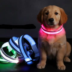 USB Rechargeable/Button Battery Dog Collar Light Luminous