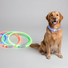 LED Dog Collar USB Rechargeable Glowing Night
