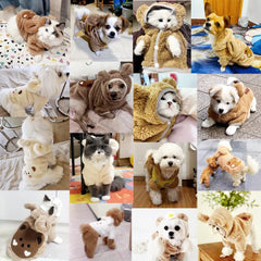 Winter Dog For Small Medium Hoodies Cute