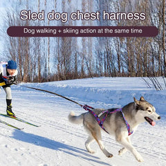 Pulling Harness For Dogs Puppy Adjustable Reflective