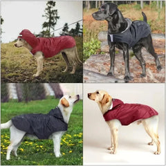 Sizes Dog Raincoat Small Medium Large Waterproof