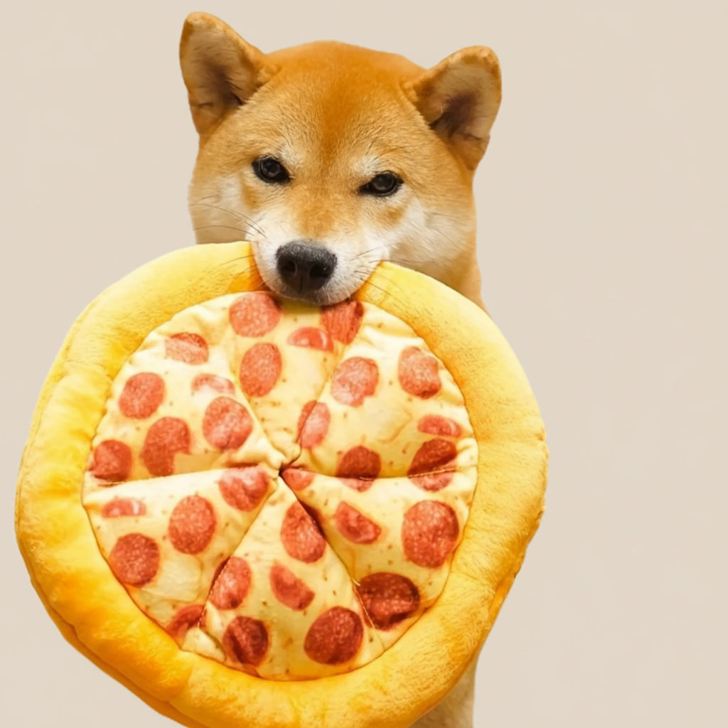 Squeaky Plush Pizza Shrimp Dog Toy Durable