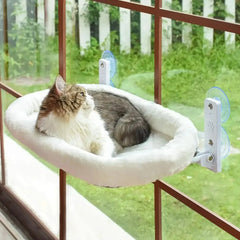Winter Cat Hammock Window Habitat Sunbathing Glass