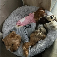 Dog Hoodies The Face Wind Coat Warm