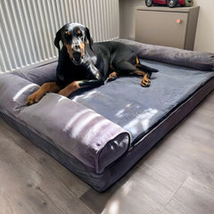 Xxxl Large Calming Dog Bed Orthopedic Memory
