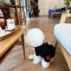 Dog Hoodies For Small Autumn Winter Pet