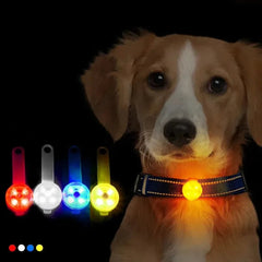 Dog Collar, Loss Weatherproof LED Safety Light