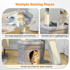 Small Cat Tree For Indoor Tower