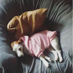 Dog Hoodies The Face Wind Coat Warm
