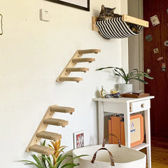 Cat Wall Climbing Shelf Steps Ladder Scratching