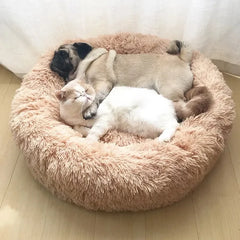 Round Pet Bed For Large Dog Donut