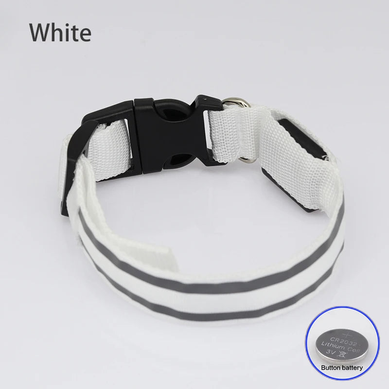 USB Rechargeable/Button Battery Dog Collar Light Luminous