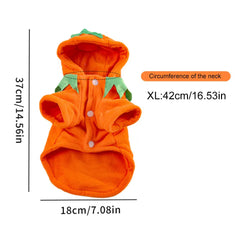 Halloween Cute Warm Pumpkin Dog Breathable Orange