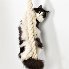 Cat Climbing Shelf And Rope Tree Wall