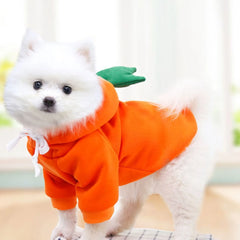 Cute Fruit Dog For Small Hoodies Warm