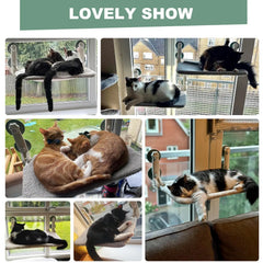 Mewoofun Cat Window Hammock Bed For Indoor