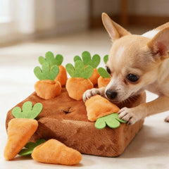 Dog Snuffle Mat Interactive Feeding Puzzle Game