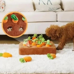 Carrot Snuffle Mat For Dogs Cats Puzzle