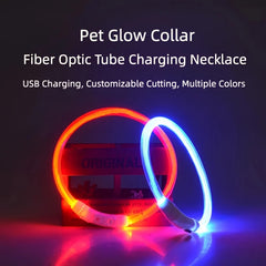 Super Bright LED Dog Collar, USB Rechargeable