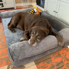 Dog Bed Extra Large Orthopedic Pet Mattress