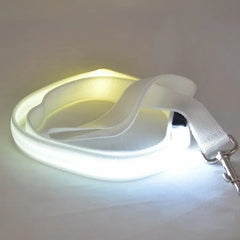 Flashing Leash Rope Harness Collar Electronic Glowing