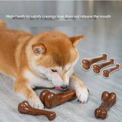 Natural Non-Toxic Indestructible Dog Bone Chew Toy