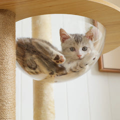 Multi-Level Cat Tree For Indoor Wood Tower