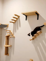 Wall Mounted Cat Climbing Shelf Steps Furniture