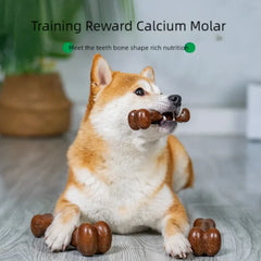 Natural Non-Toxic Indestructible Dog Bone Chew Toy