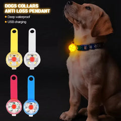 Dog Collar, Loss Weatherproof LED Safety Light