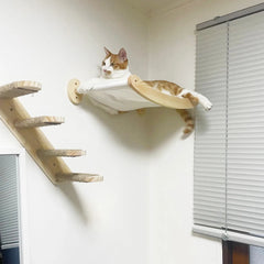 Cat Hammock And Stairway With Sisal Rope