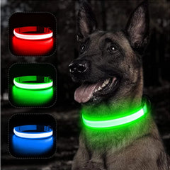 USB Charging Glowing Dog Collar With Pendant