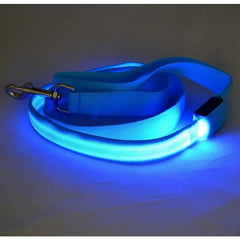Flashing Leash Rope Harness Collar Electronic Glowing
