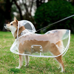 Pet Raincoat Transparent Dog Waterproof And Windproof