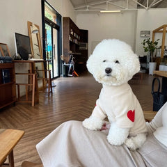 Dog Hoodies For Small Autumn Winter Pet