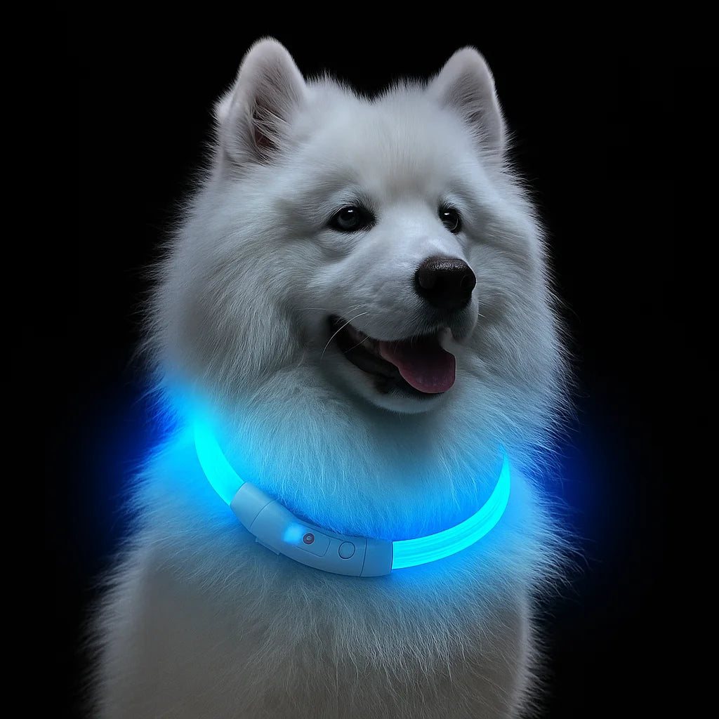 Super Bright LED Dog Collar, USB Rechargeable