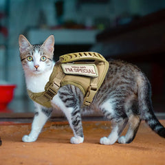 Tactical Cat Harness For Walking Escape Proof