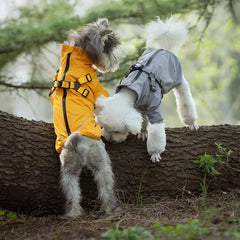 Small Dog Rain Jacket: Waterproof With Harness