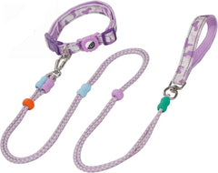 Dog Leash And Collar Set With Airtag