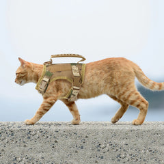 Tactical Cat Harness Adjustable Puppy Vest
