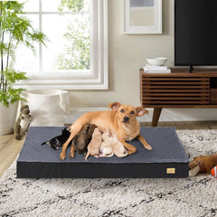 Dog Beds For Large Orthopedic Medium Waterproof