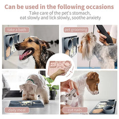 Dog Licking Pad Slow Feeding Bowl Food