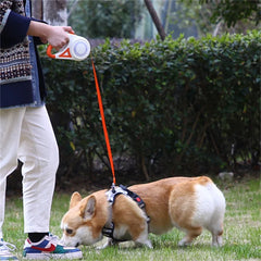 5M Automatic Retractable Dog Leash With LED