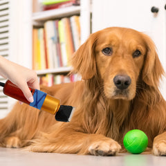 Pet Hair Clipper Low Noise High-Efficiency Professional