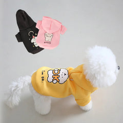 Cat And Dog For Autumn Winter, Made