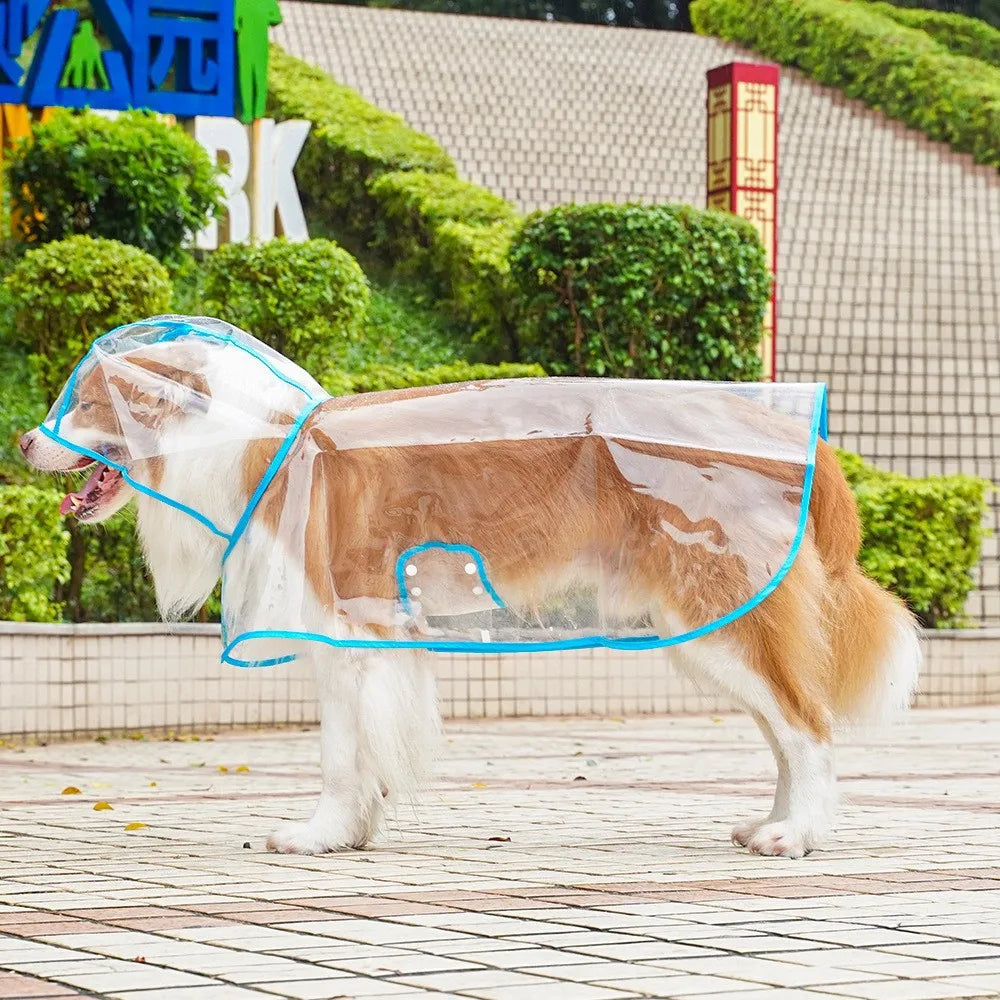 Pet Raincoat Transparent Dog Waterproof And Windproof